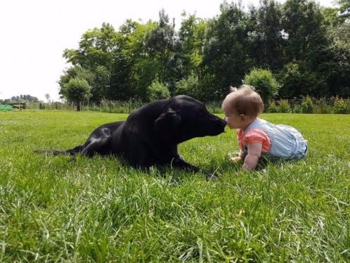 It's Playtime — Sasha & Florinthe
